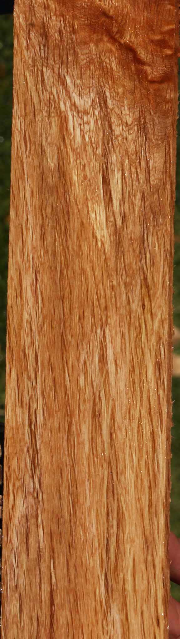 Beefwood Micro Lumber