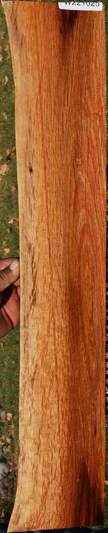 Beefwood Live Edge Micro Lumber