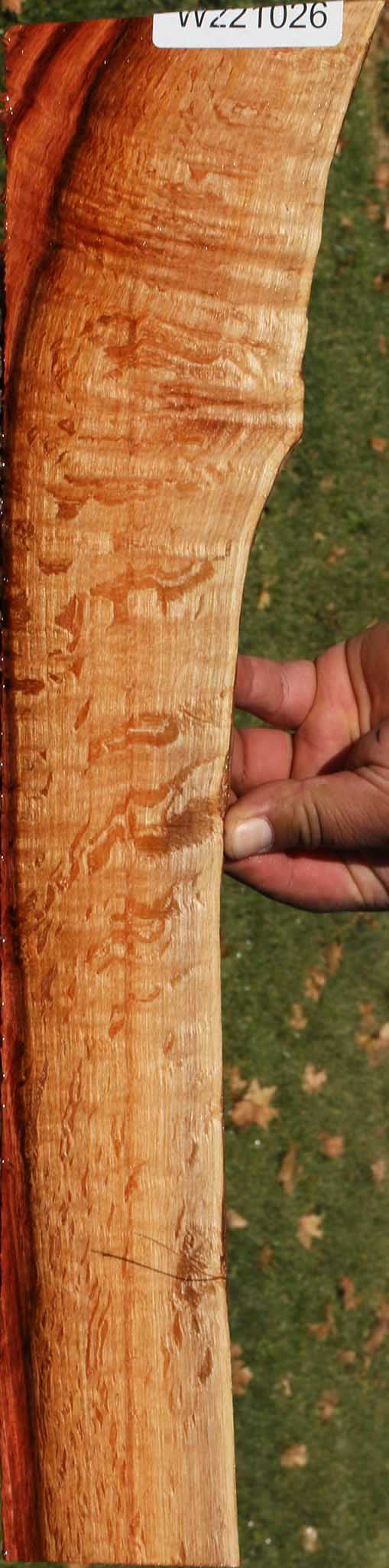 Extra Fancy Beefwood Live Edge Micro Lumber