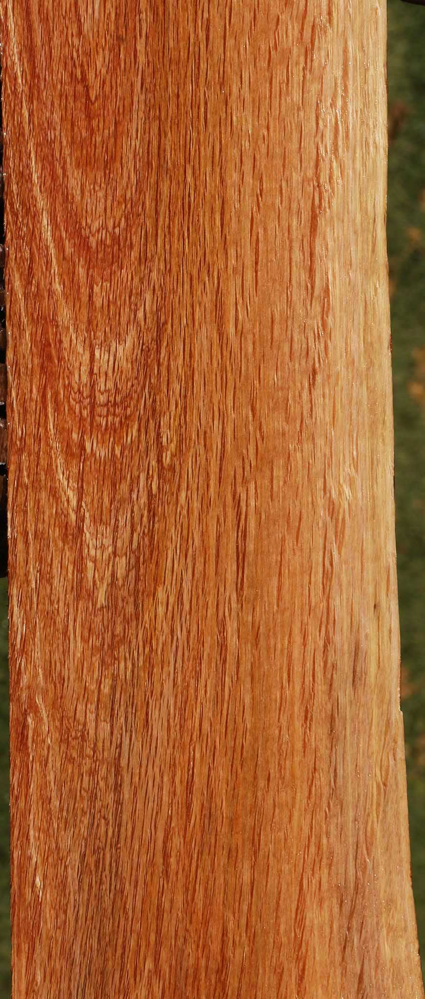 Beefwood Live Edge Micro Lumber