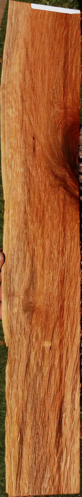 Beefwood Live Edge Micro Lumber