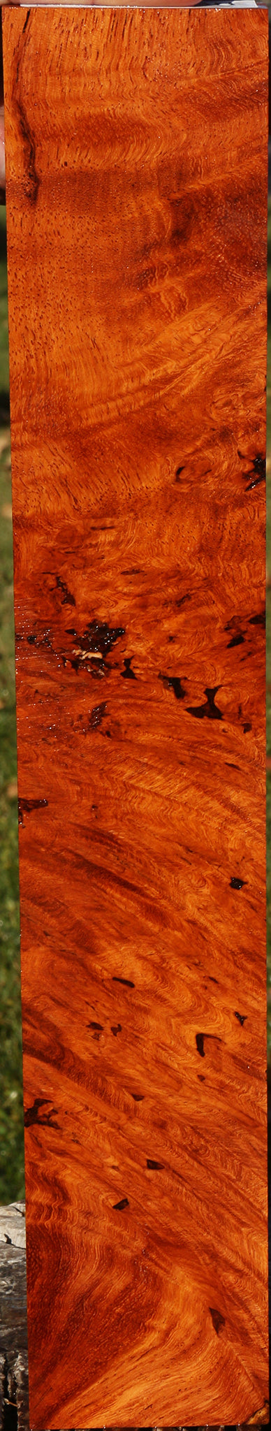 Figured Rustic Afzelia Lumber