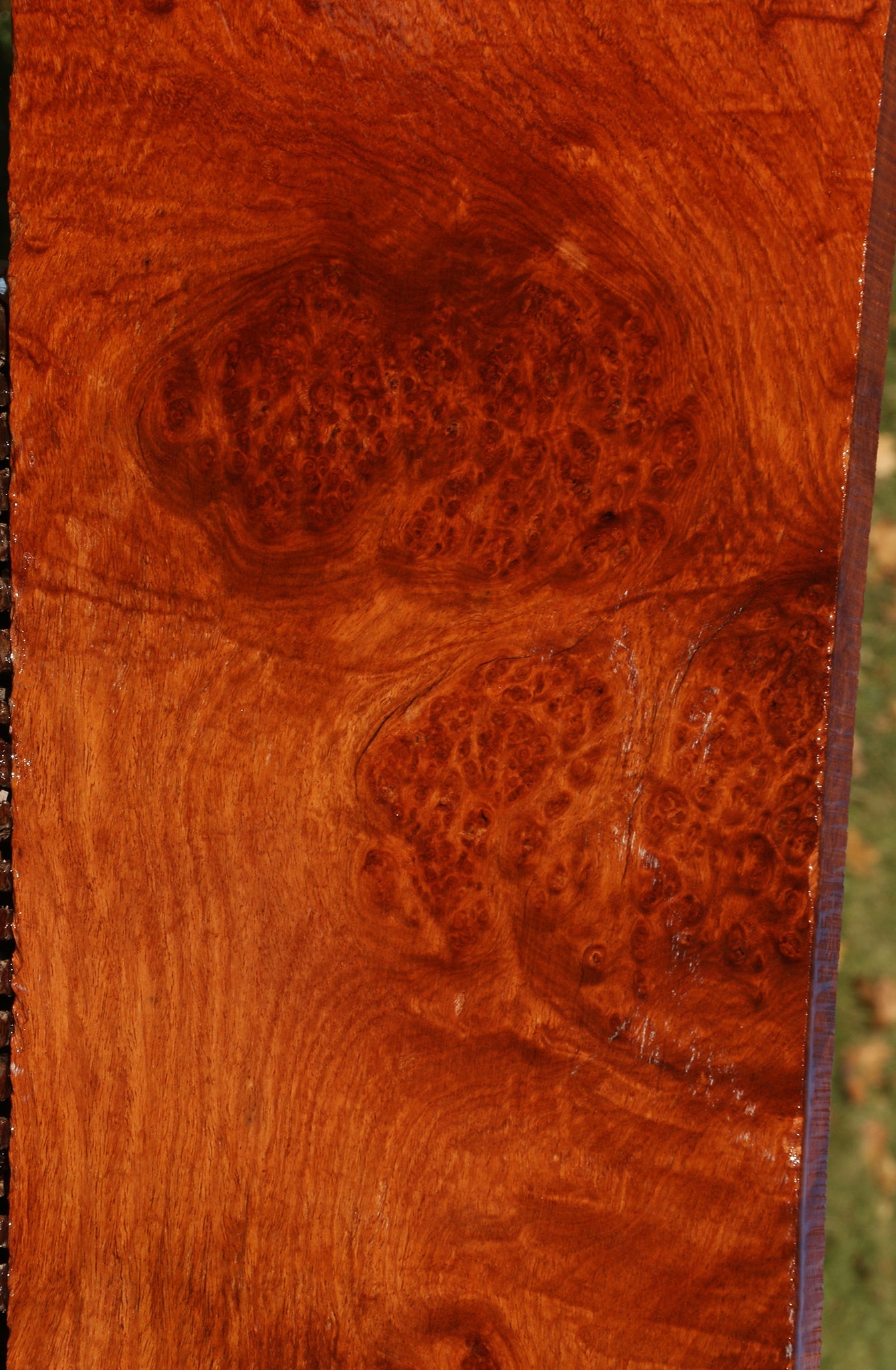 Figured Afzelia Burl Lumber