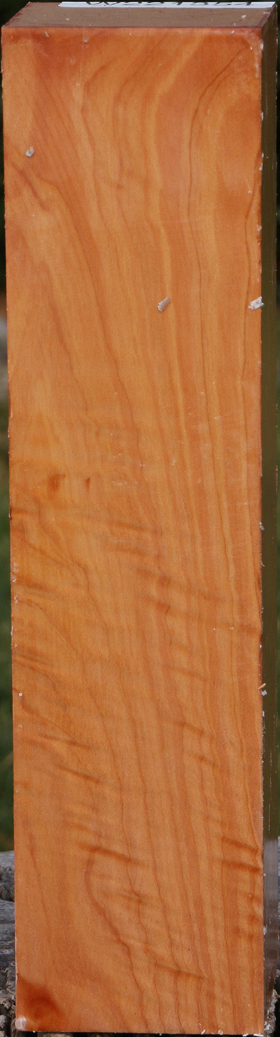 Extra Fancy Monterey Cypress Peppermill