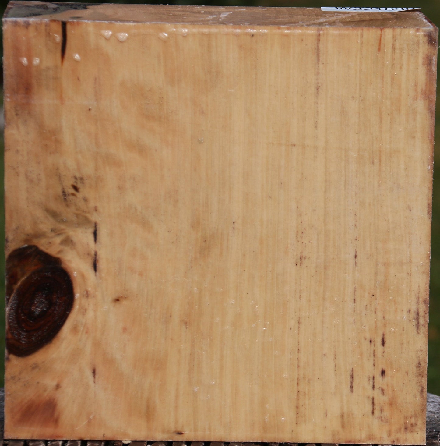 Liquid Amber Bowl Blank