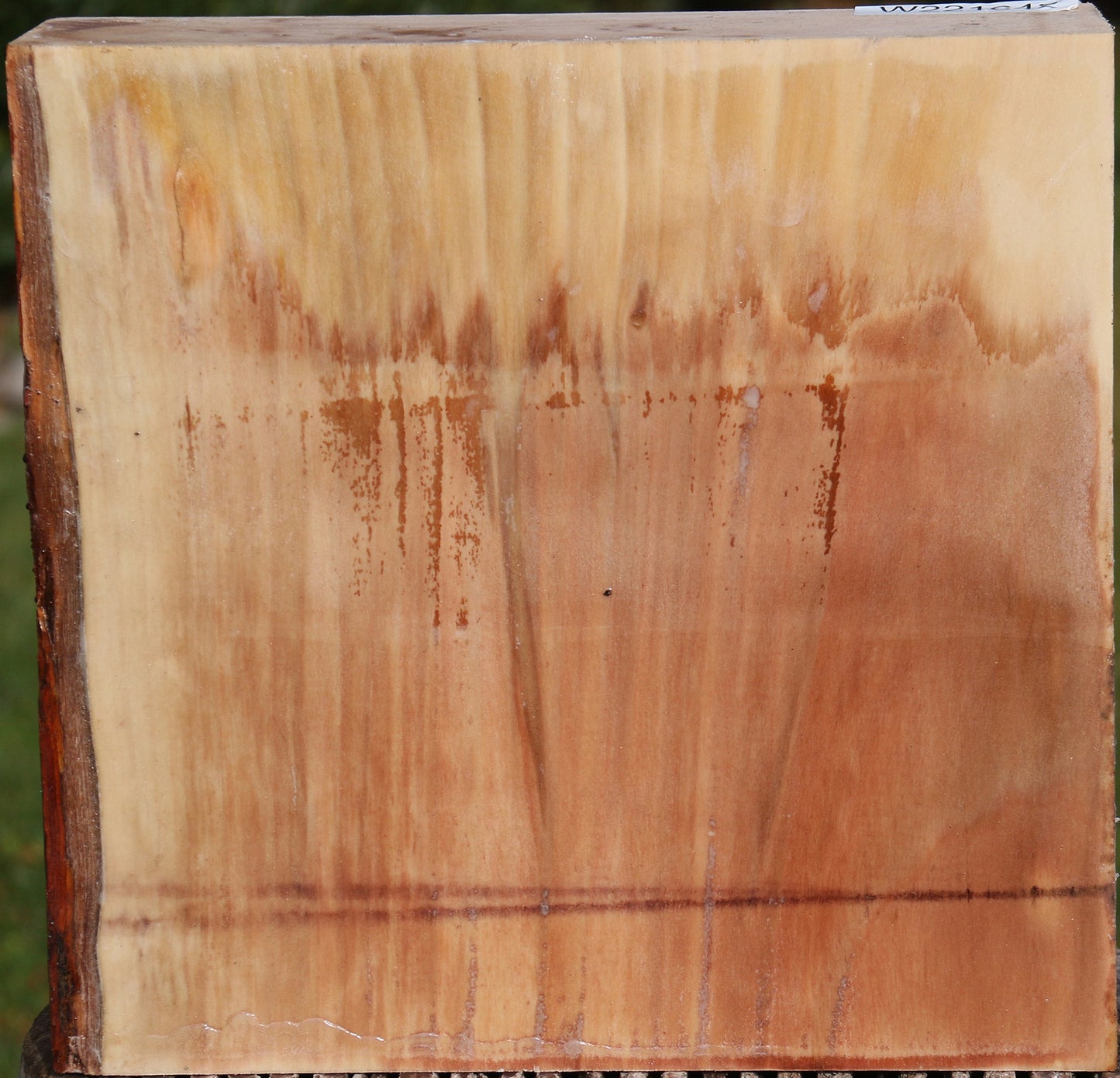 Liquid Amber Bowl Blank