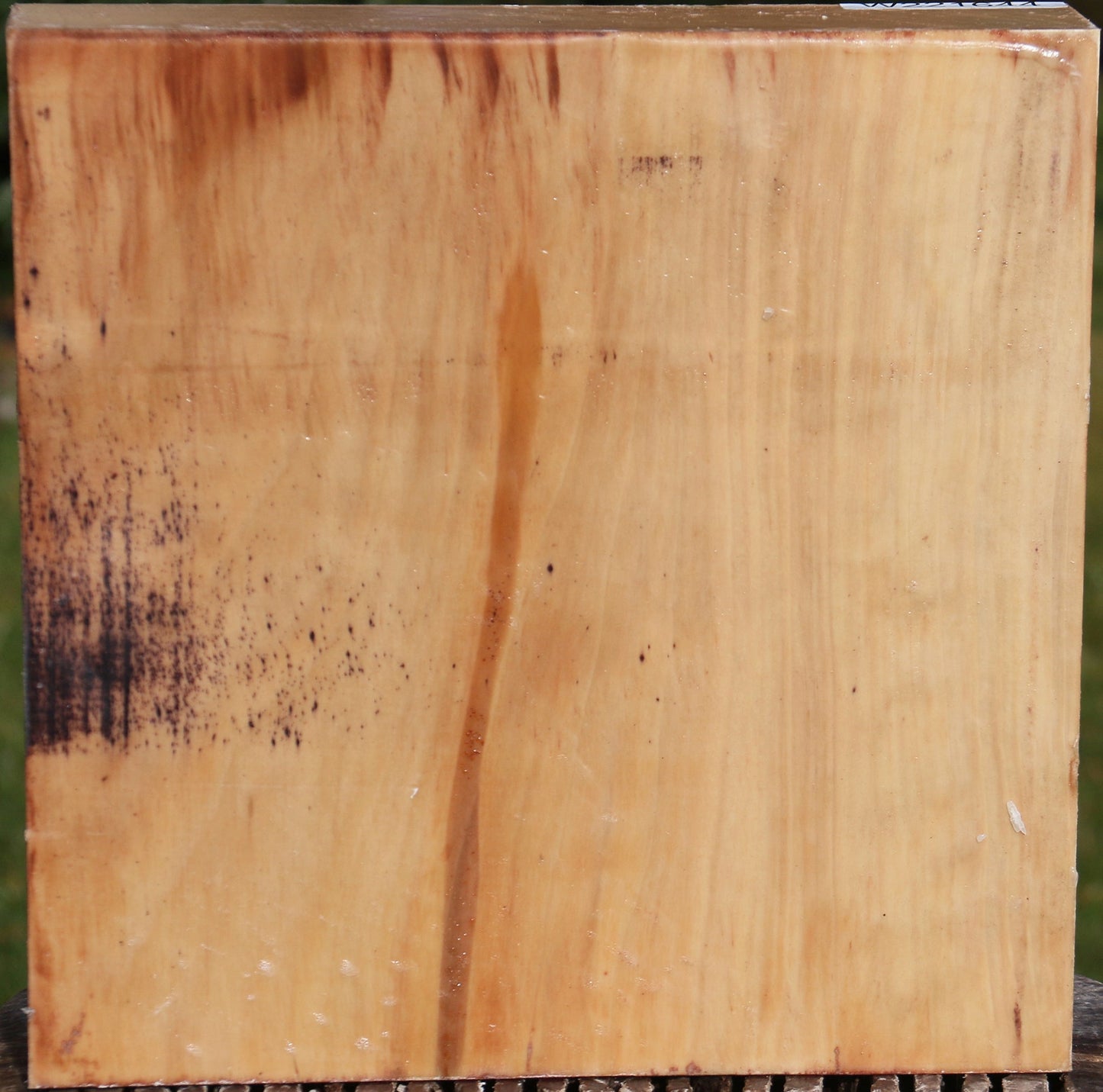 Liquid Amber Bowl Blank