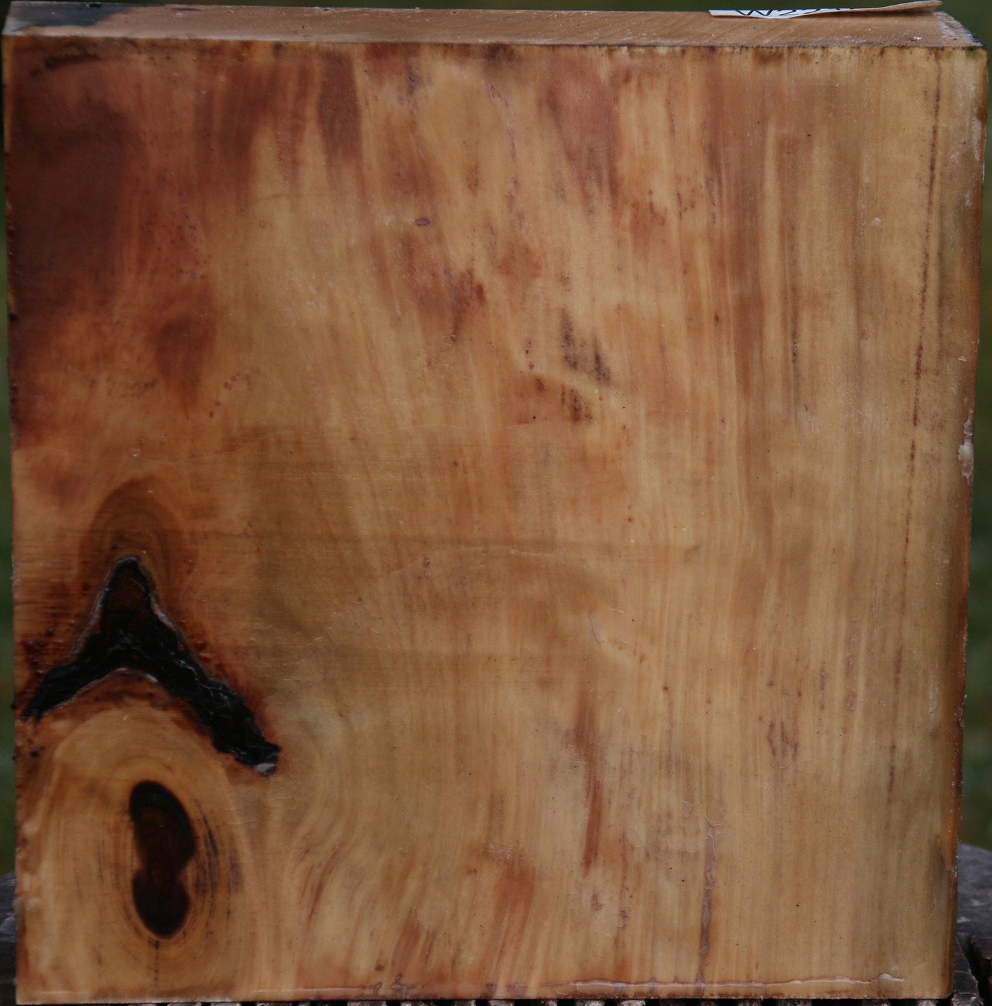 Liquid Amber Bowl Blank