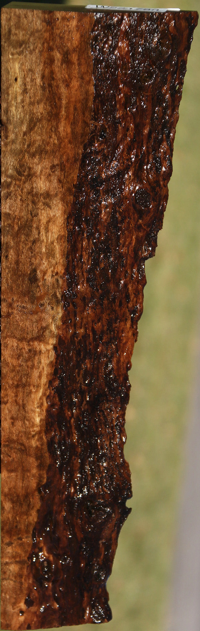 Extra Fancy Quilted Rustic Claro Walnut Live Edge Lumber