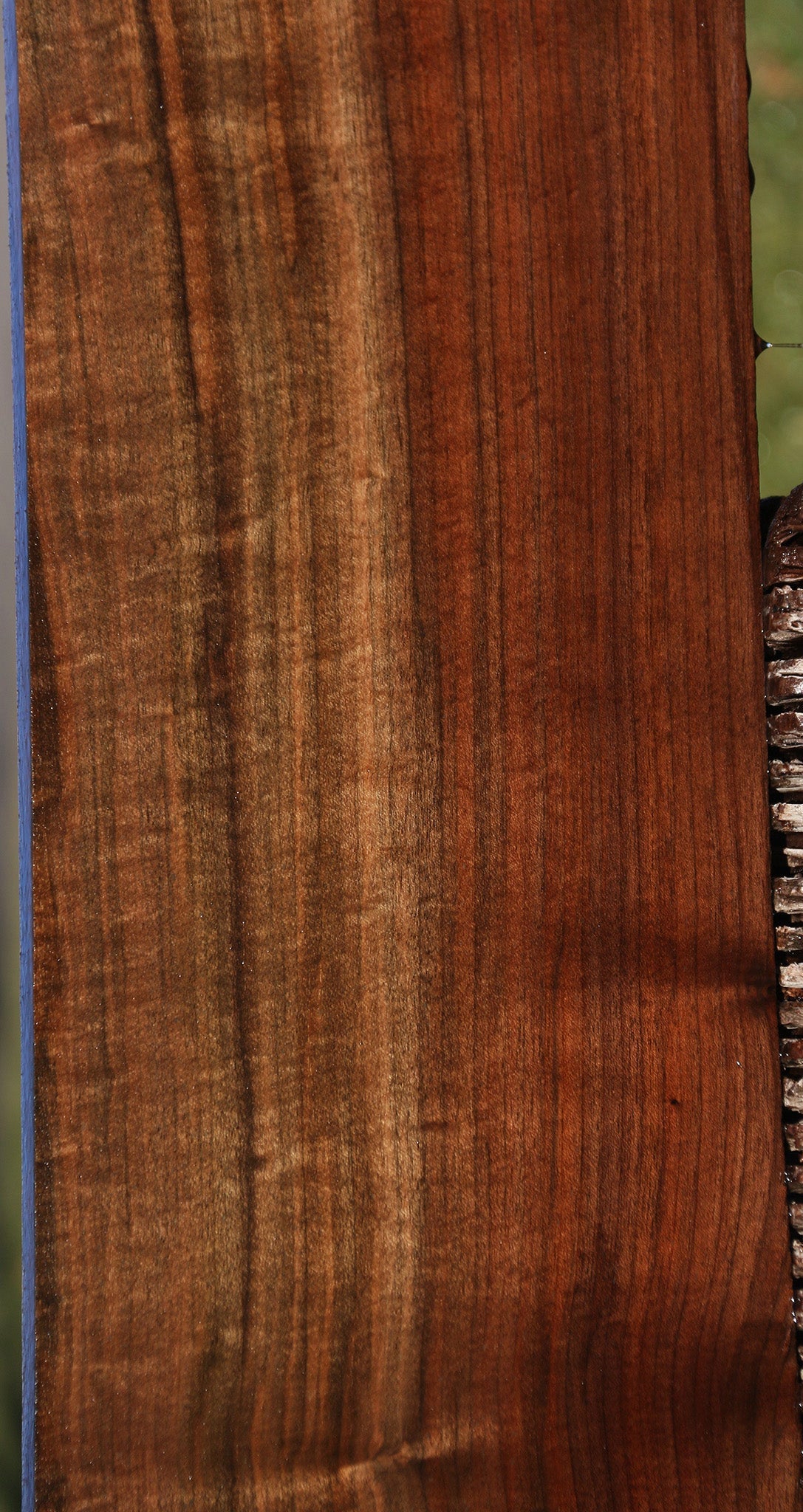 Figured Fiddleback Claro Walnut Lumber