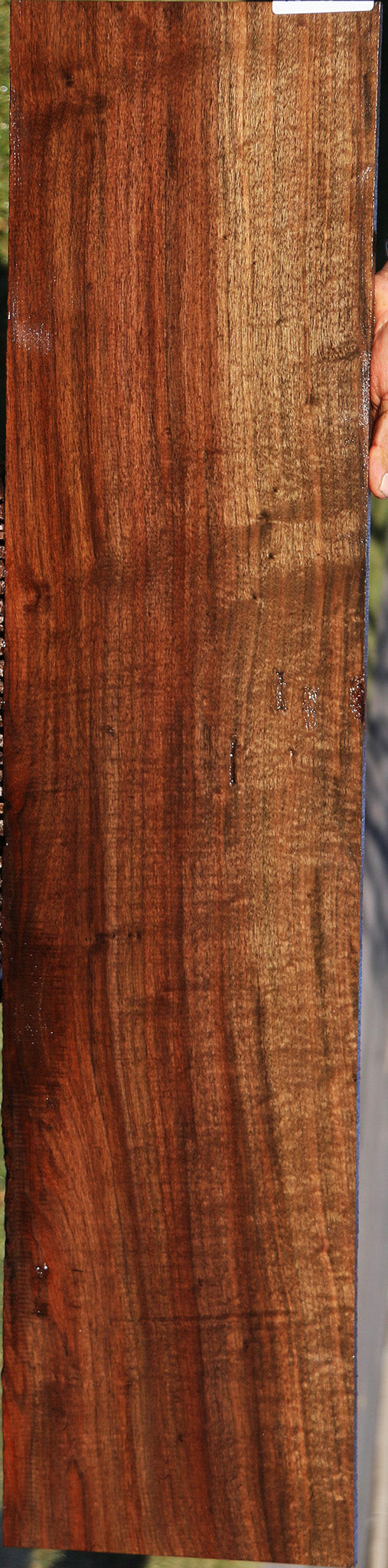 Figured Fiddleback Claro Walnut Micro Lumber