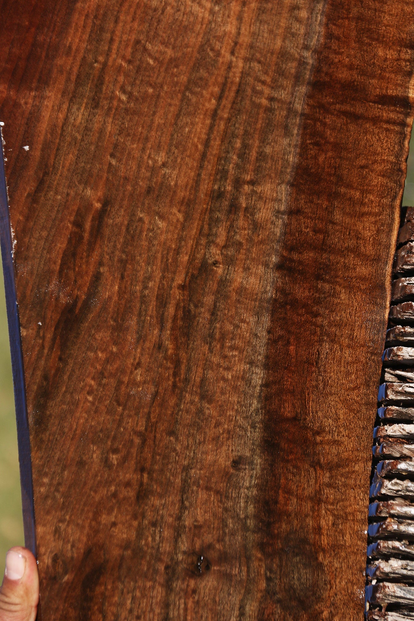 Extra Fancy Quilted Claro Walnut Lumber