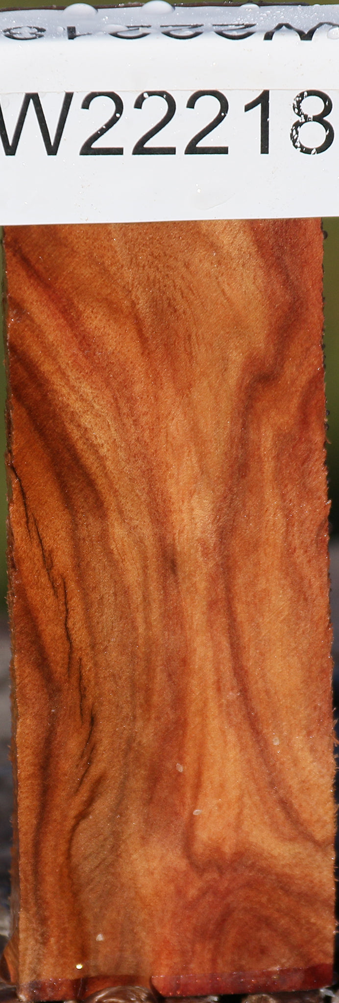 Camphor Burl Lumber