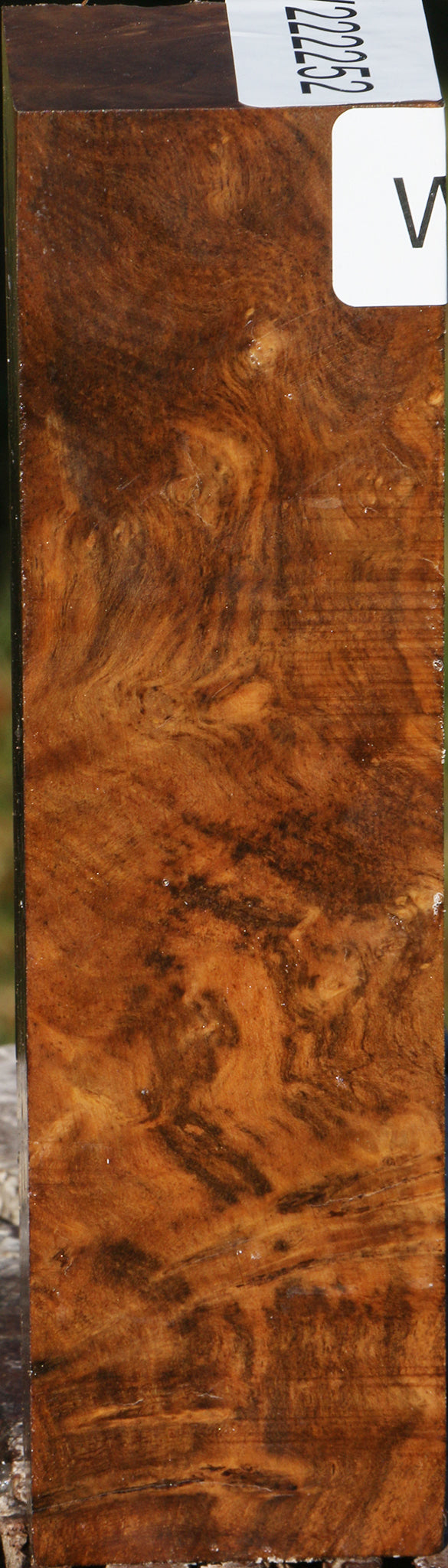 Sindora Burl Turning Square