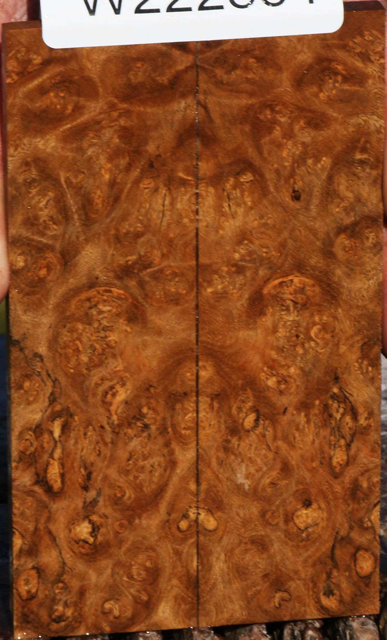 Sindora Burl Knife Scales