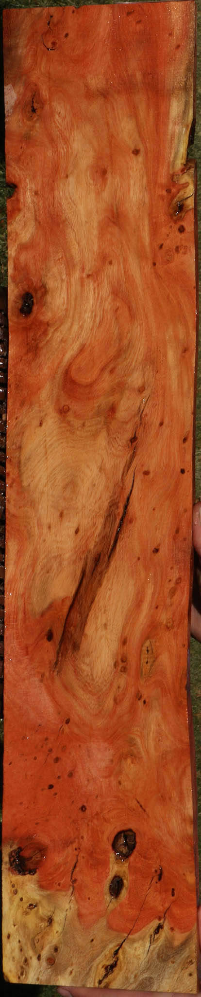 Extra Fancy Carob Micro Lumber