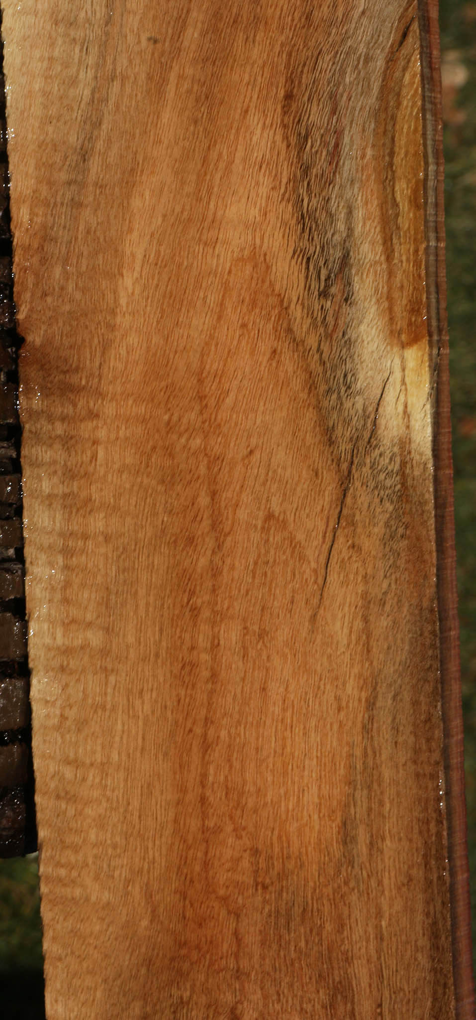 Extra Fancy Carob Lumber