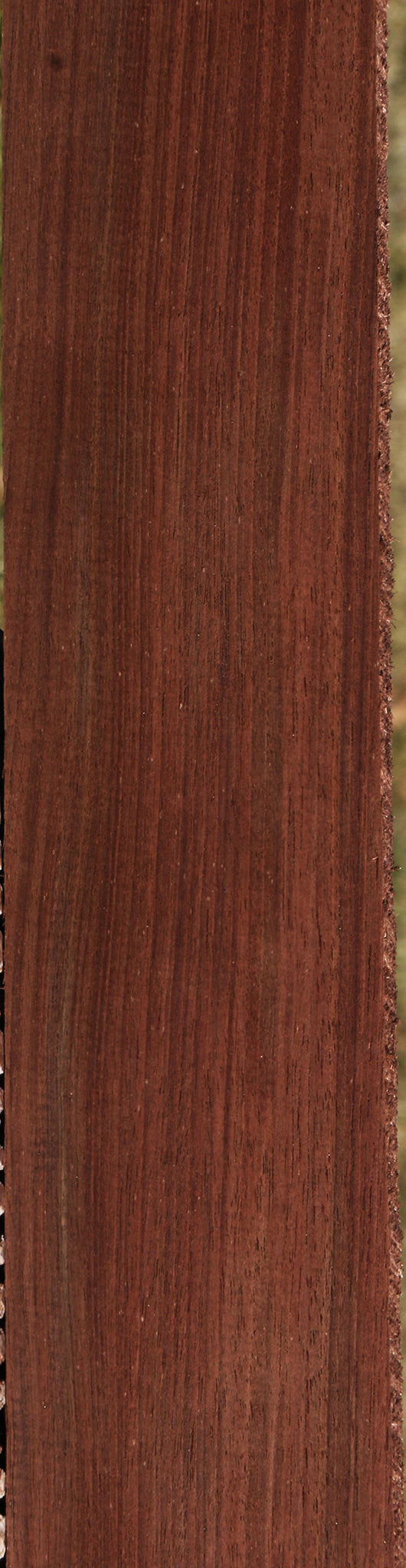 Peruvian Walnut Lumber