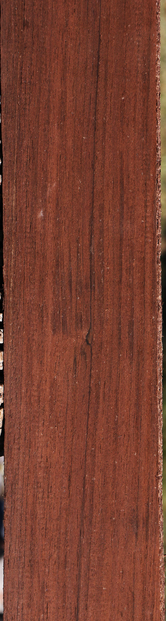 Peruvian Walnut Lumber