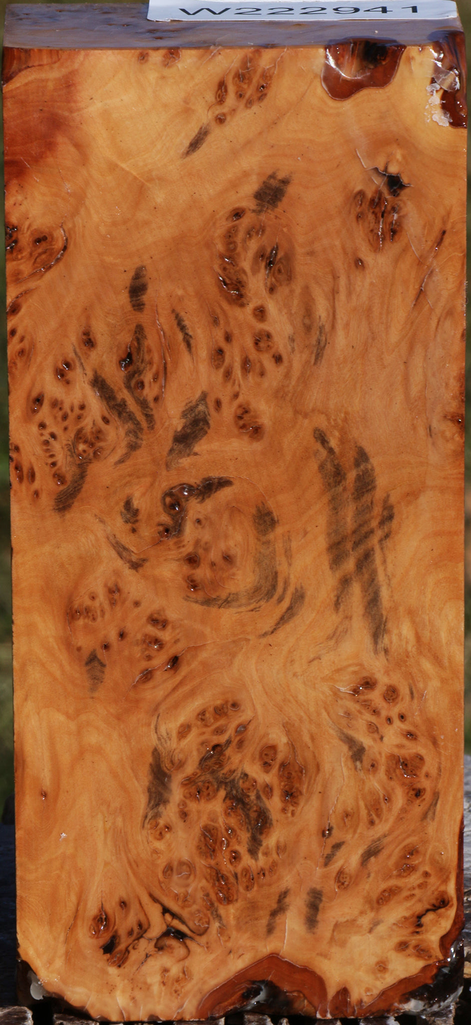 Extra Fancy Hopea Stone Burl Turning Blank