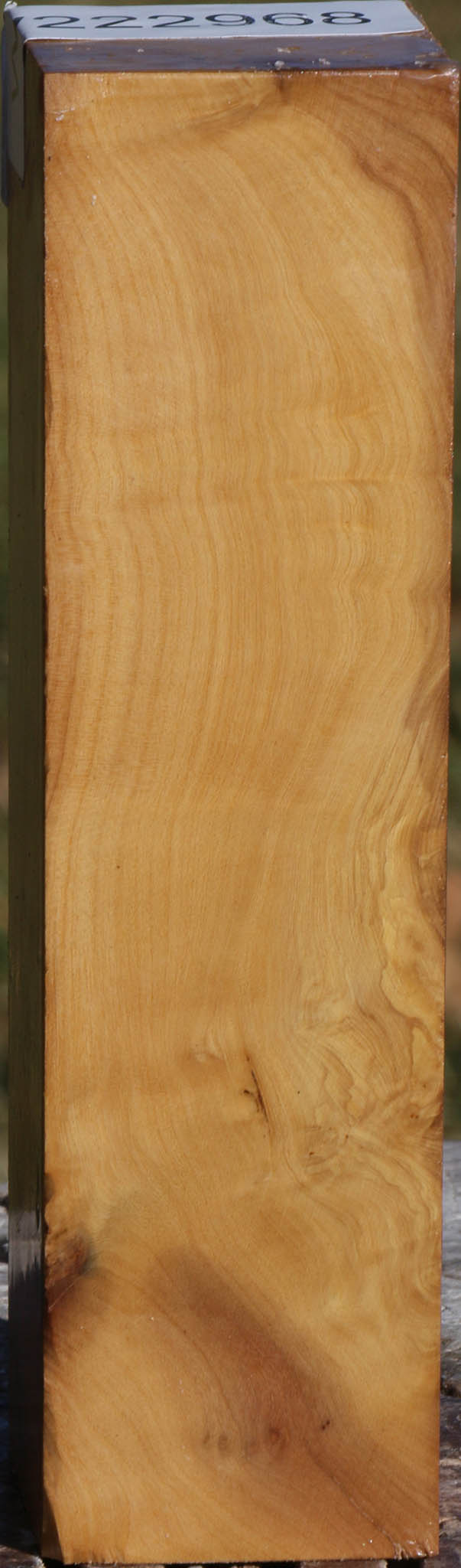 Figured Hopea Stone Turning Square