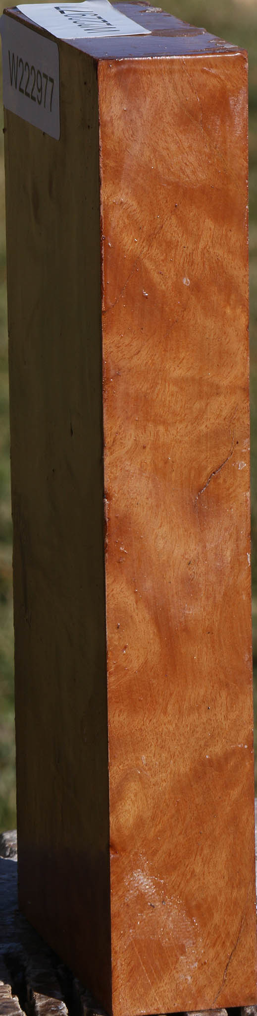 Figured Hopea Stone Lumber