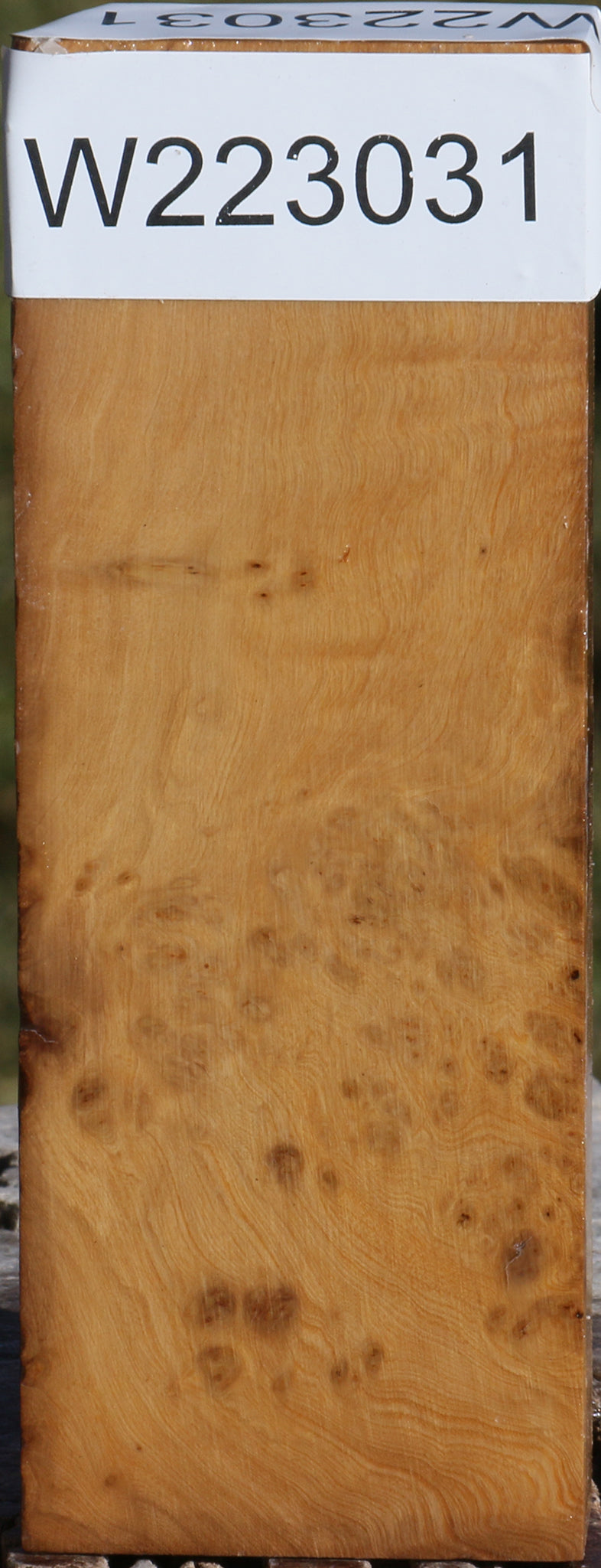 Hopea Stone Burl Lumber