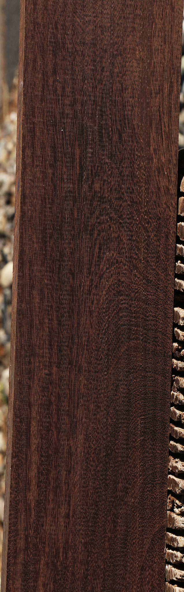Katalox Lumber