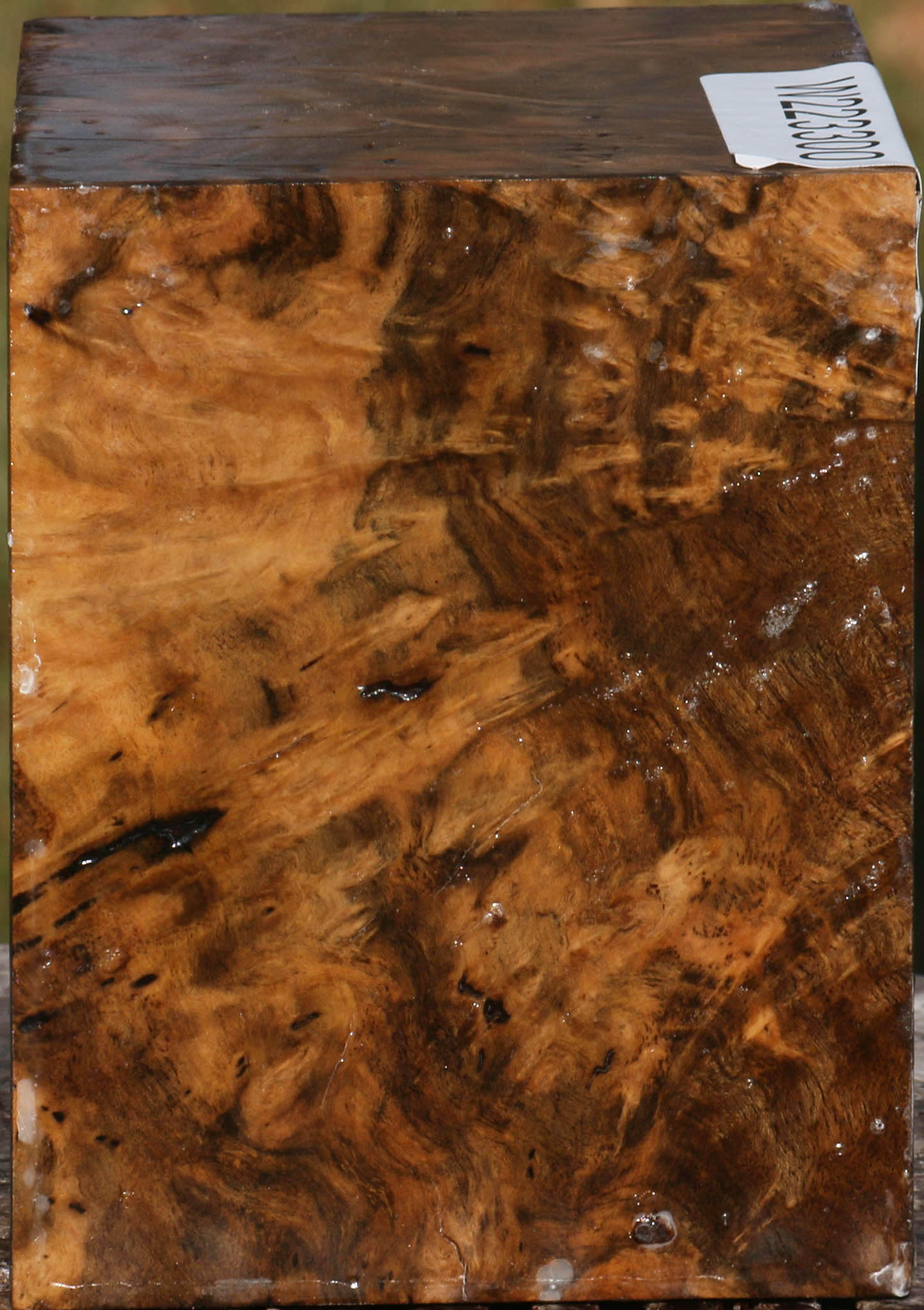 Almond Burl Bowl Blank