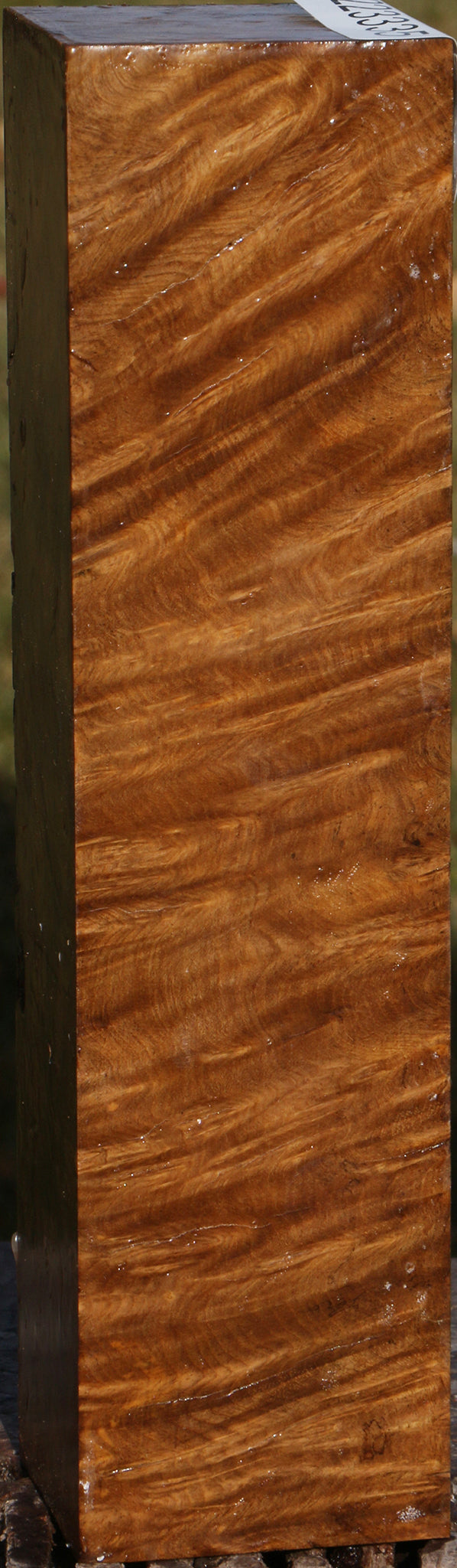 Almond Burl Turning Square
