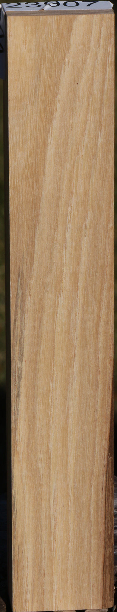 Tulipwood Lumber