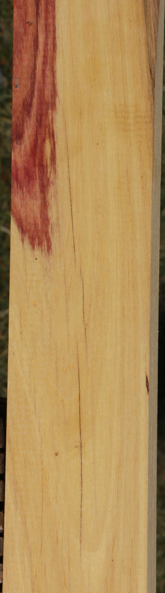 Tulipwood Micro Lumber