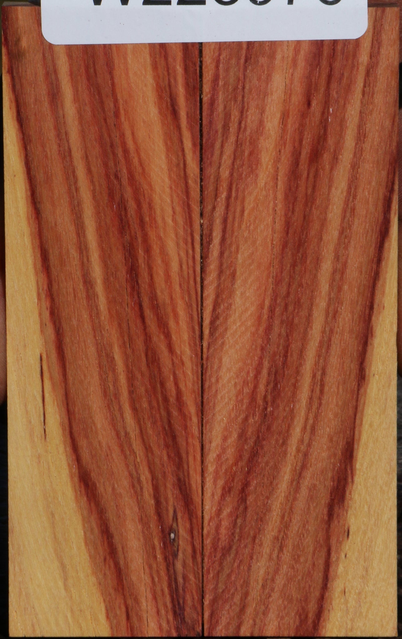 Tulipwood Knife Scales