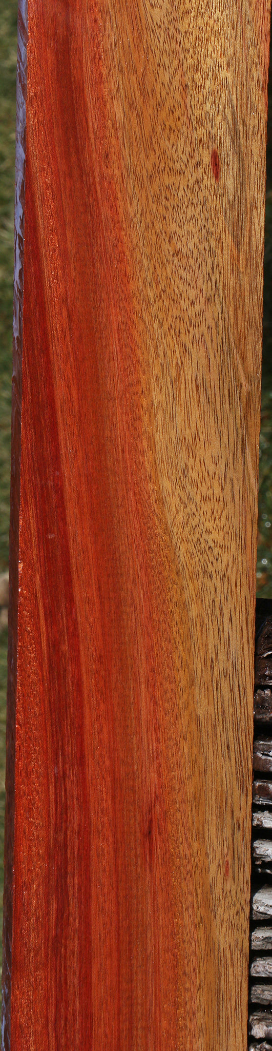 Bloodwood Lumber