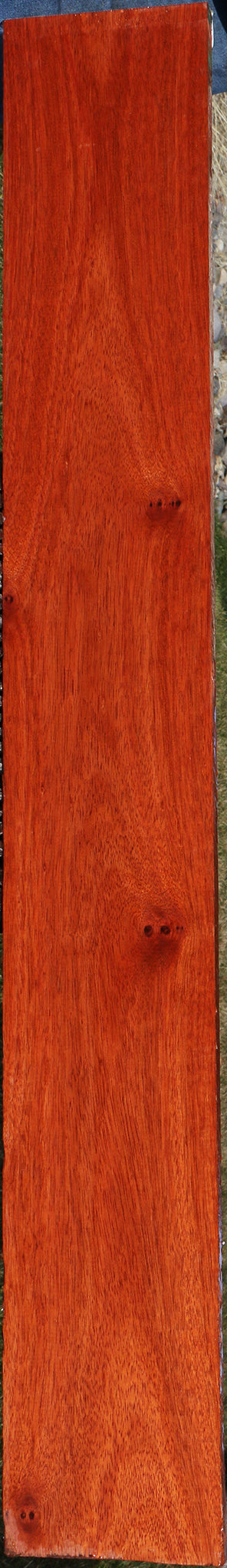 Bloodwood Lumber