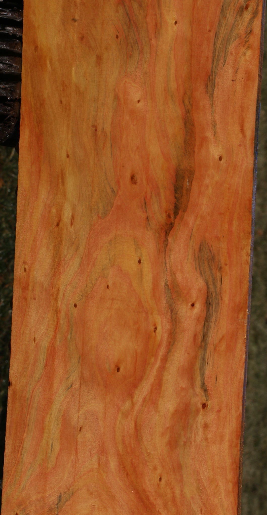 Extra Fancy Kirandy Lumber