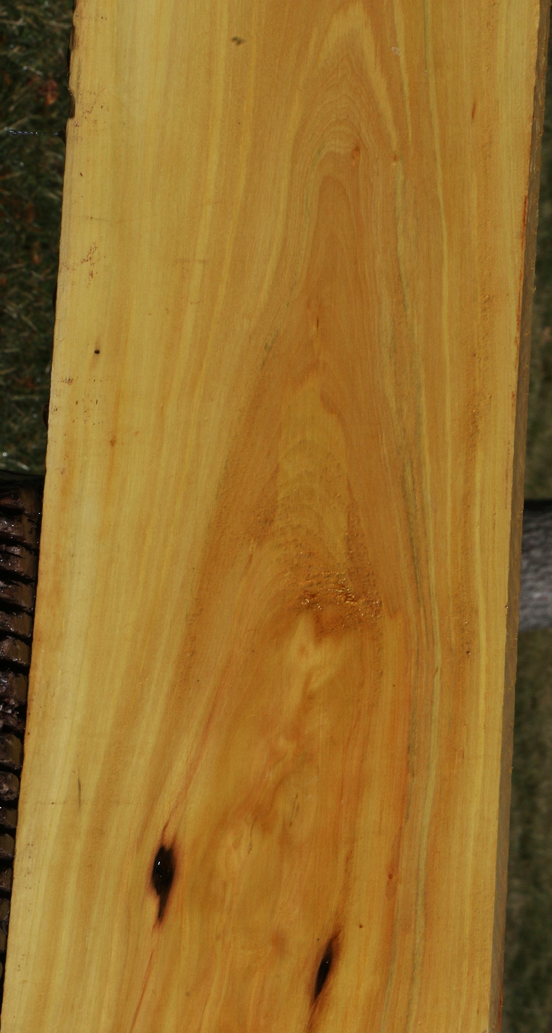 Figured Kirandy Lumber