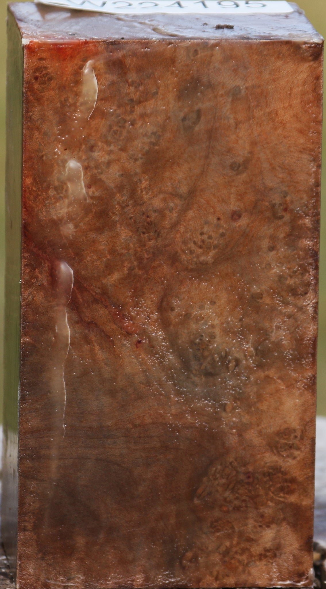 Madrone Burl Turning Blank