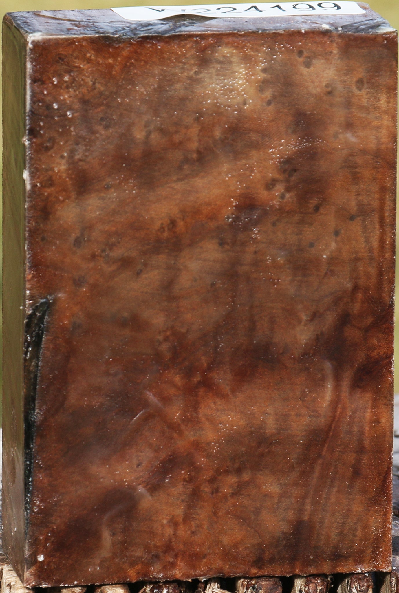 Madrone Burl Lumber