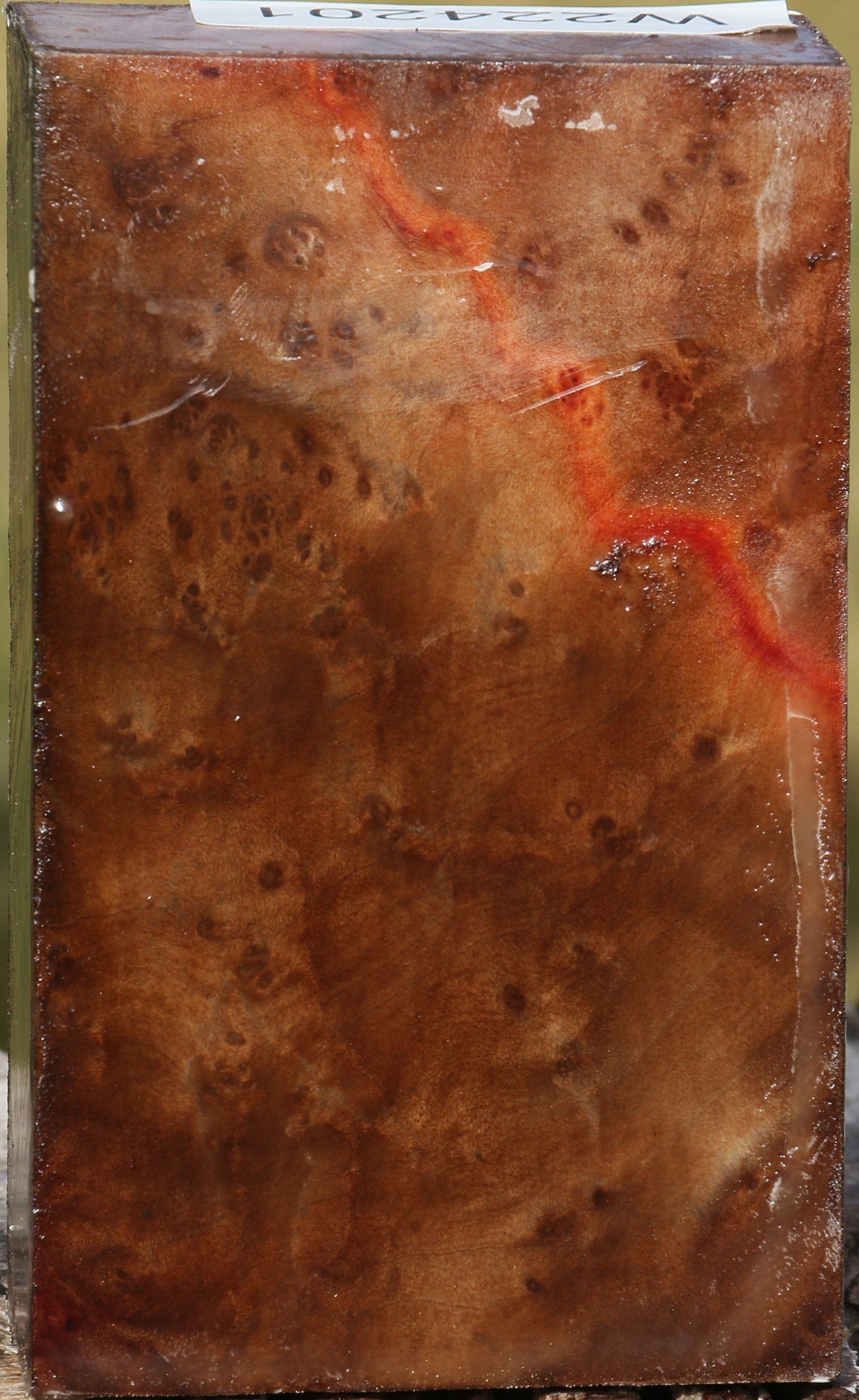 Madrone Burl Turning Blank