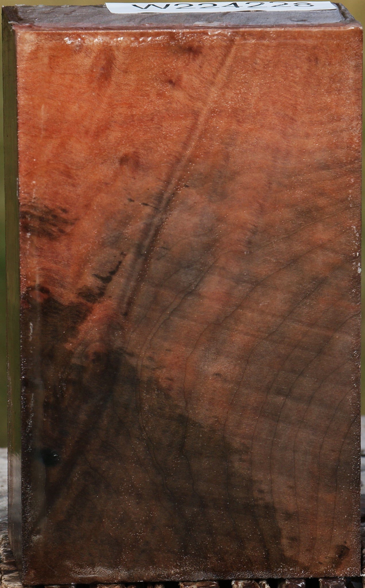 Figured Madrone Burl Turning Blank
