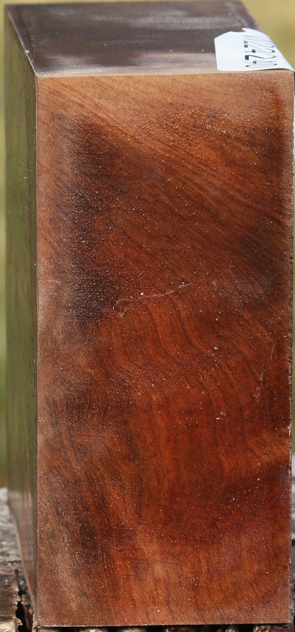 Figured Madrone Bowl Blank