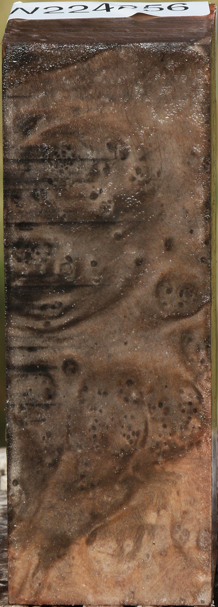 Madrone Burl Turning Square