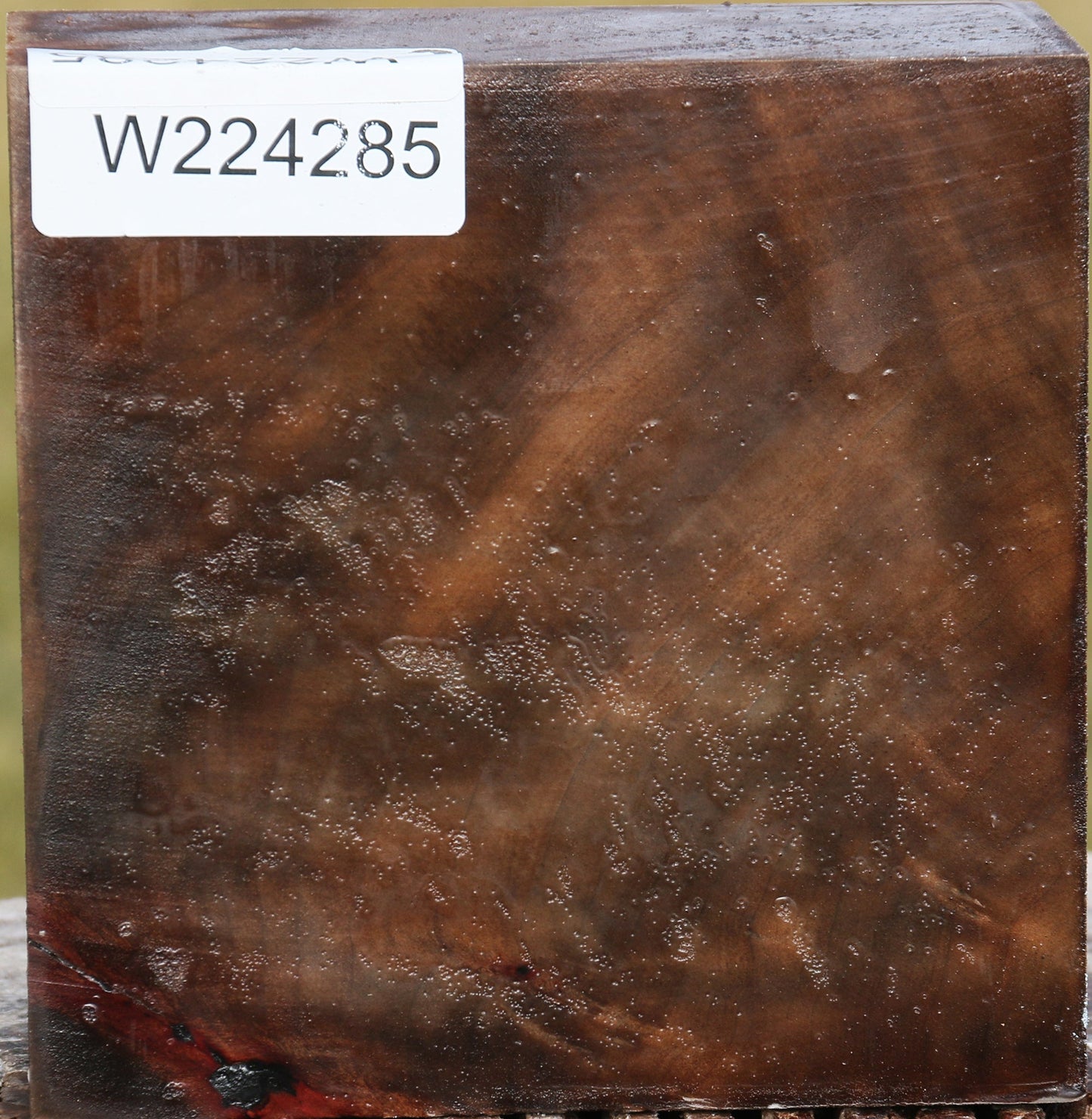 Figured Madrone Bowl Blank