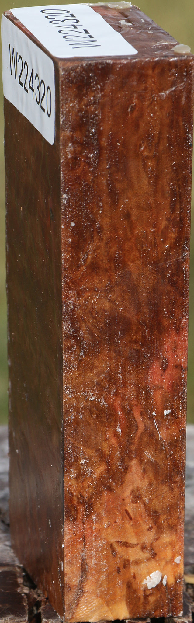 Extra Fancy Madrone Burl Lumber