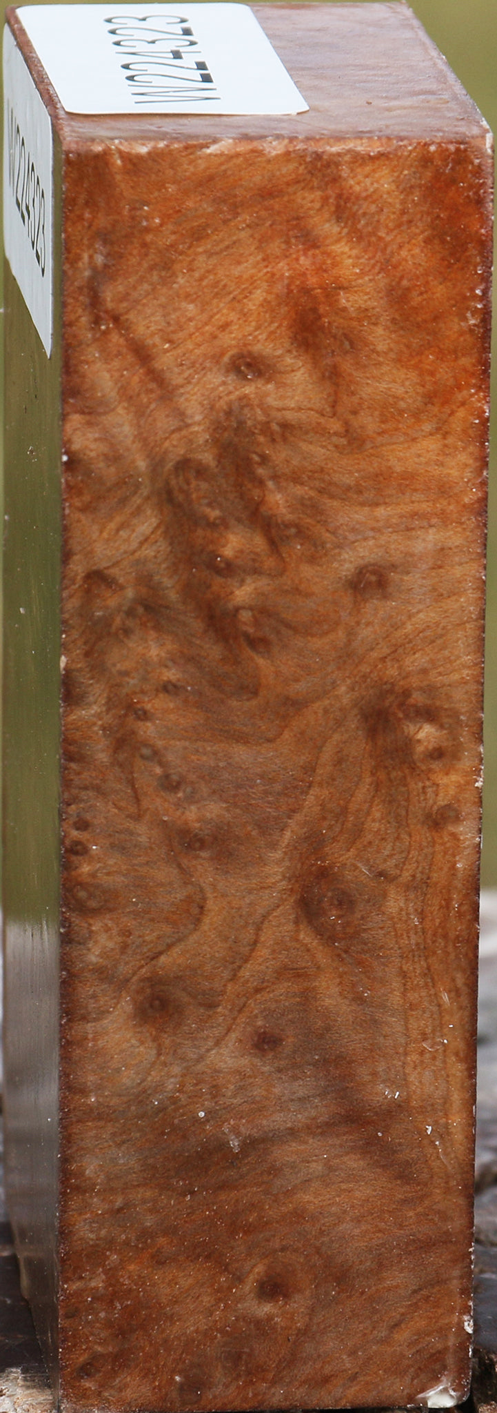 Madrone Burl Turning Blank