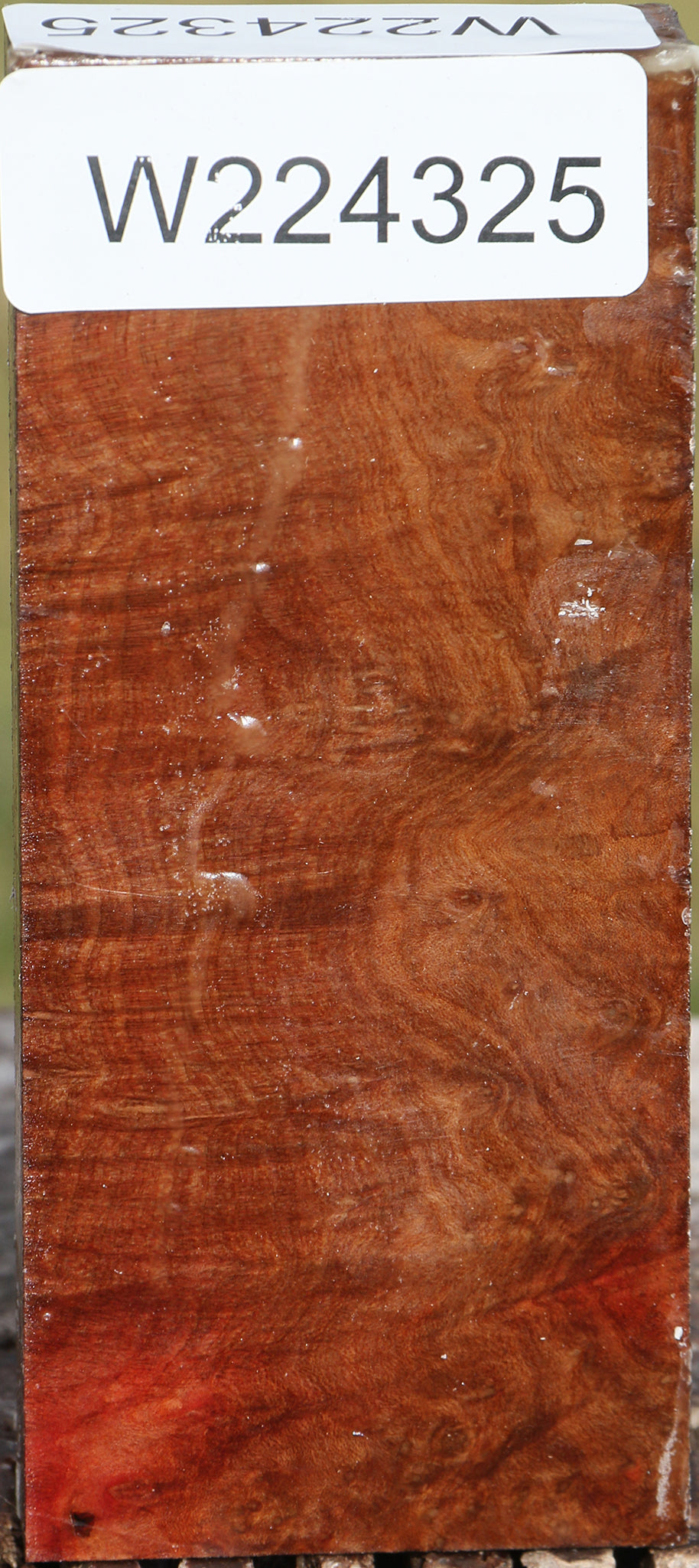 Madrone Burl Lumber