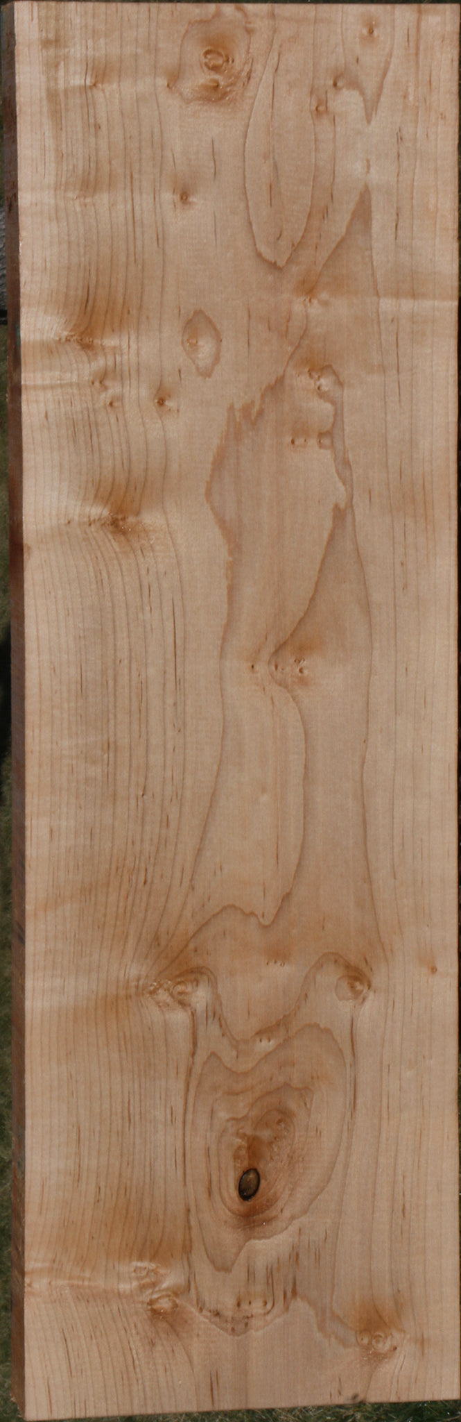 Ambrosia Maple Lumber