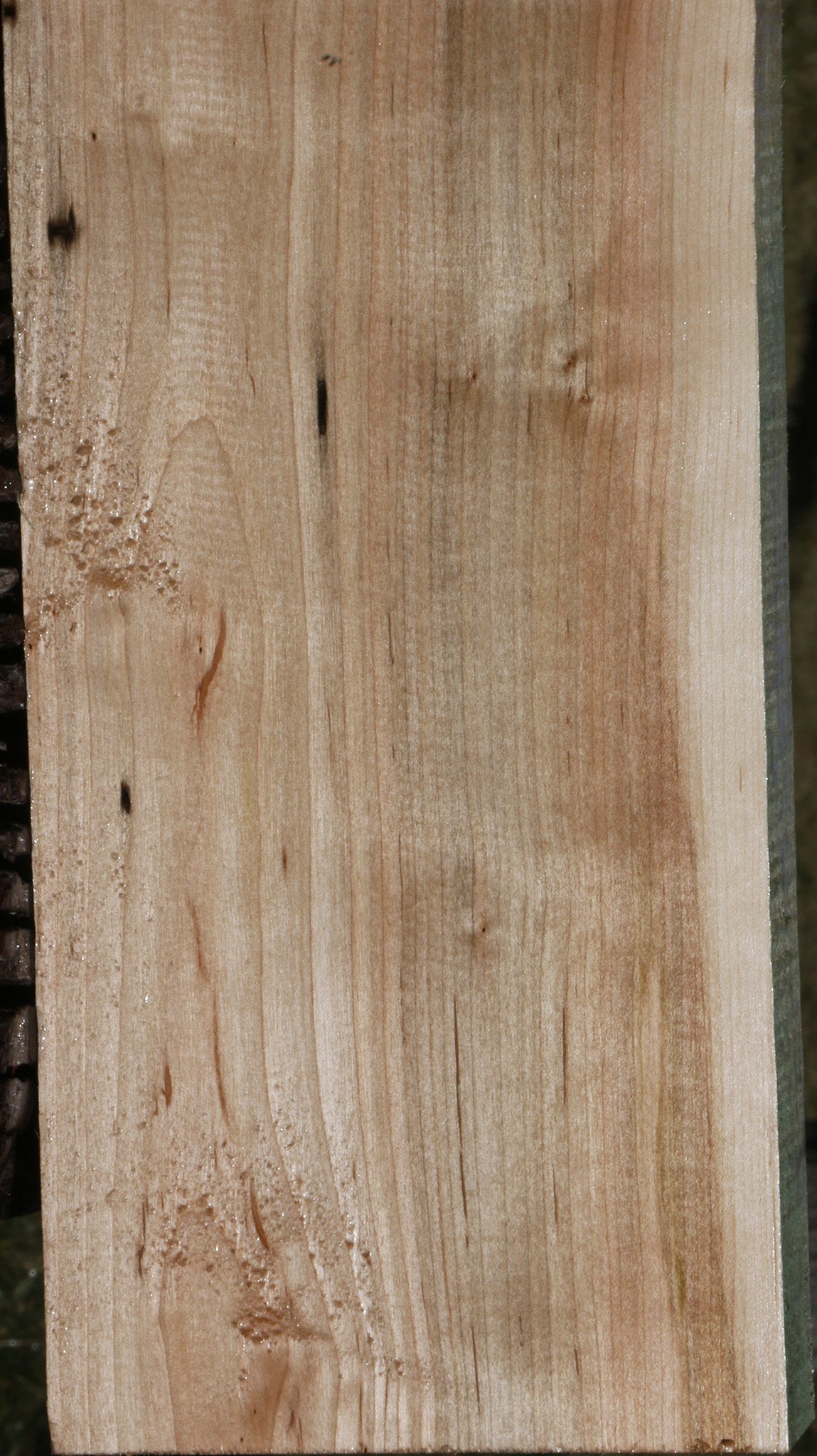 Ambrosia Maple Lumber