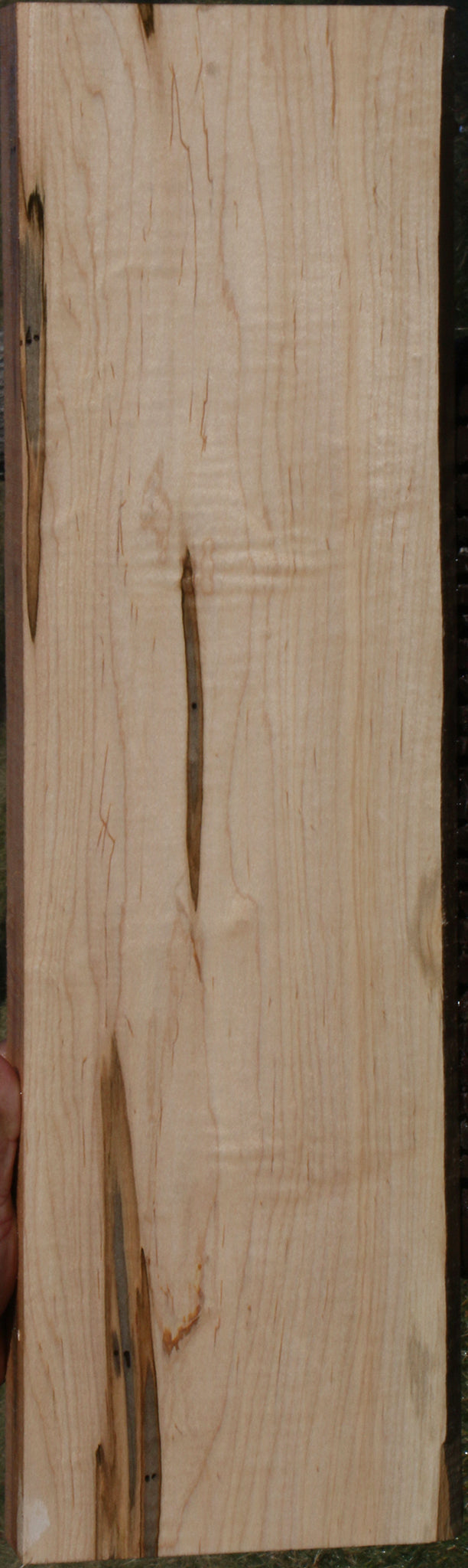 Figured Ambrosia Maple Lumber